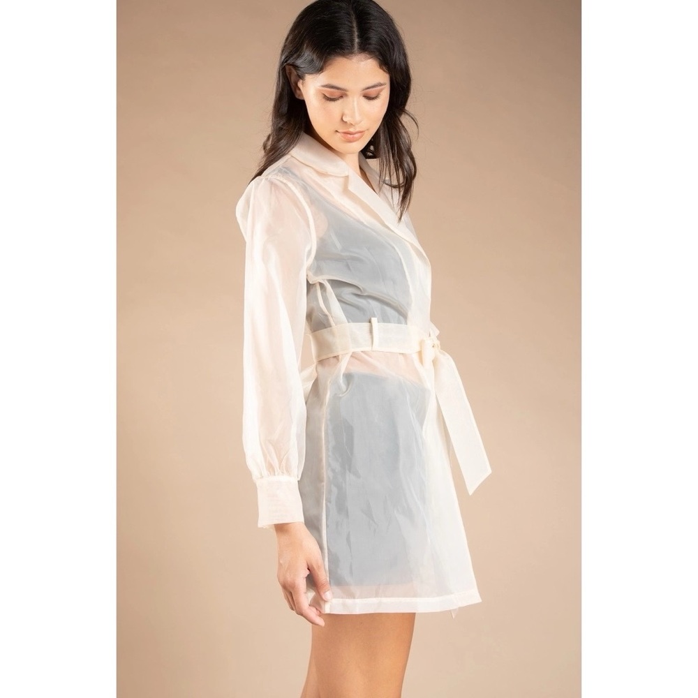 Sheer Organza Cream Trench Coat | Ethereal Layering Essential - Picture 2 of 5
